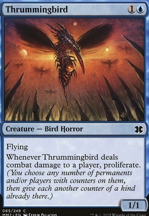 Thrummingbird