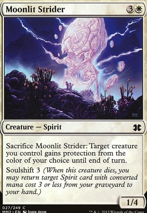 Moonlit Strider