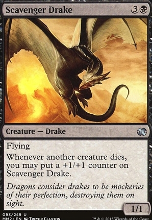 Scavenger Drake