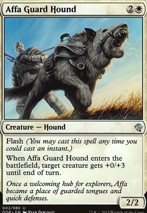 Affa Guard Hound