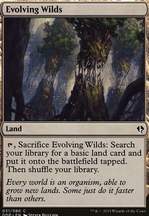 Evolving Wilds