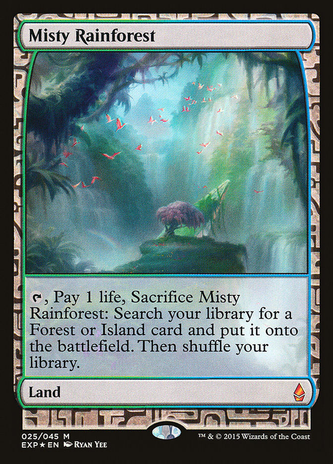 Misty Rainforest