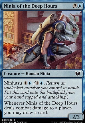 Ninja of the Deep Hours