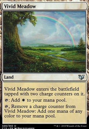 Vivid Meadow