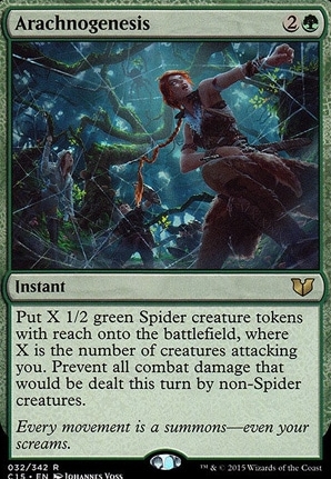 Arachnogenesis