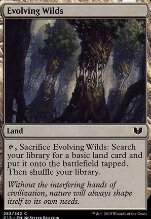 Evolving Wilds