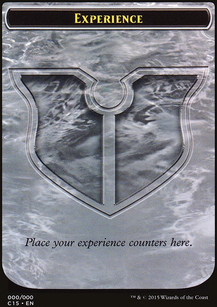 Experience Token
