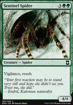 Sentinel Spider