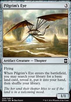 Pilgrim's Eye