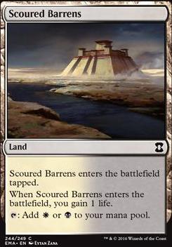 Scoured Barrens