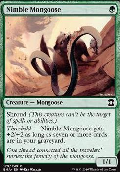 Nimble Mongoose