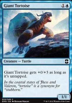 Giant Tortoise