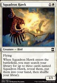 Squadron Hawk