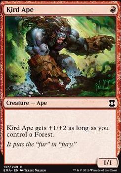 Kird Ape