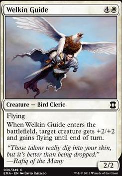Welkin Guide