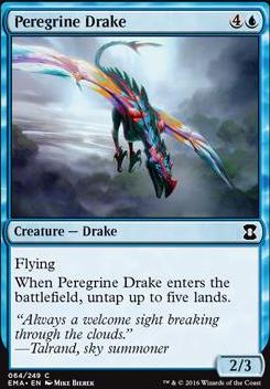 Peregrine Drake