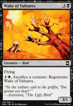 Wake of Vultures