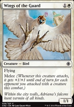 Wings of the Guard