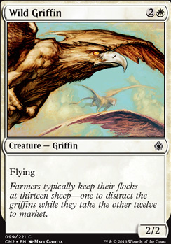 Wild Griffin