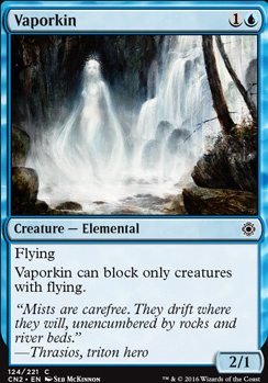 Vaporkin