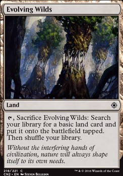 Evolving Wilds