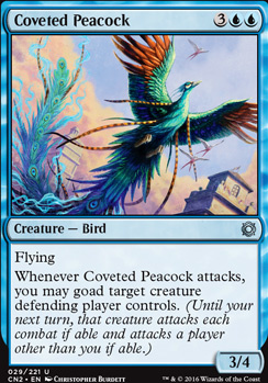 Coveted Peacock