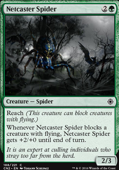 Netcaster Spider