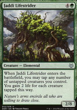 Jaddi Lifestrider