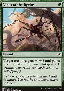 Vines of the Recluse