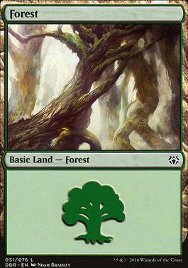 Forest
