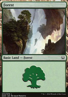 Forest