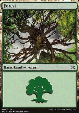 Forest