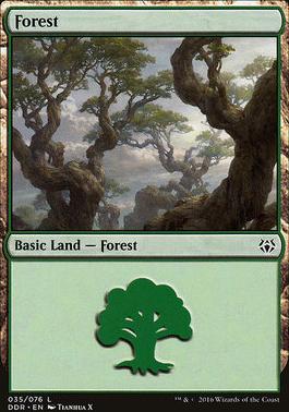Forest
