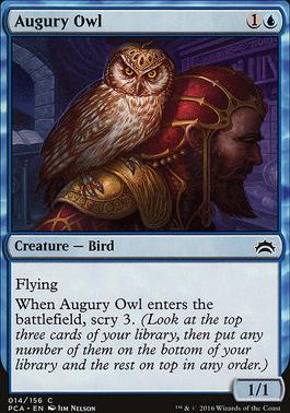 Augury Owl