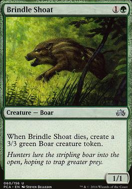 Brindle Shoat