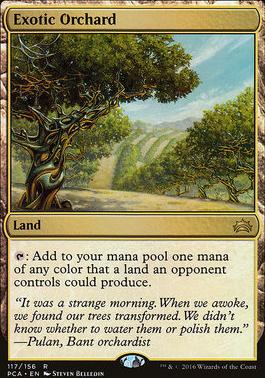 Exotic Orchard