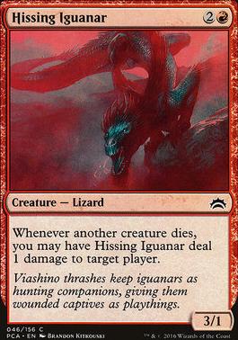 Hissing Iguanar