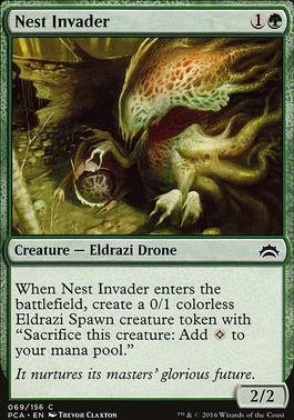 Nest Invader
