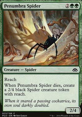 Penumbra Spider