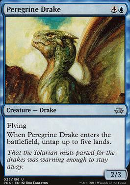 Peregrine Drake