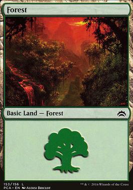 Forest