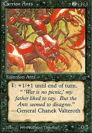 Carrion Ants