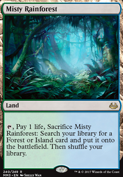 Misty Rainforest
