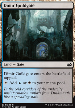 Dimir Guildgate