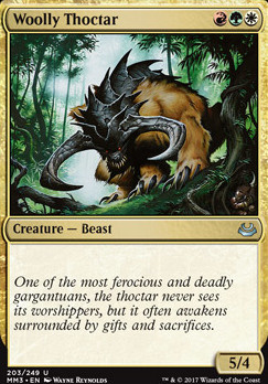 Woolly Thoctar