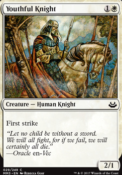 Youthful Knight