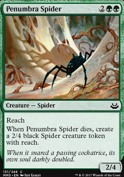 Penumbra Spider