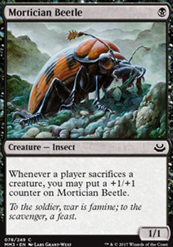 Mortician Beetle