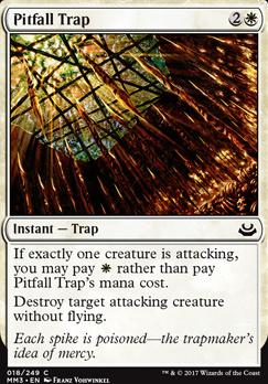 Pitfall Trap