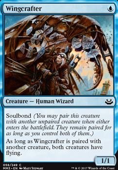 Wingcrafter